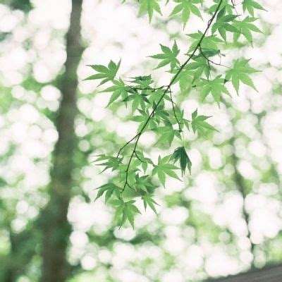 斩仙传说手游破解版下载